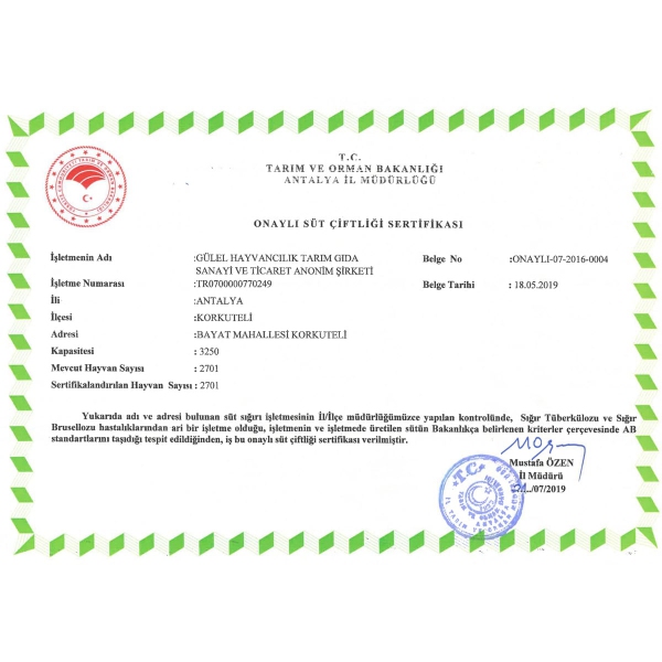 sertifika-3