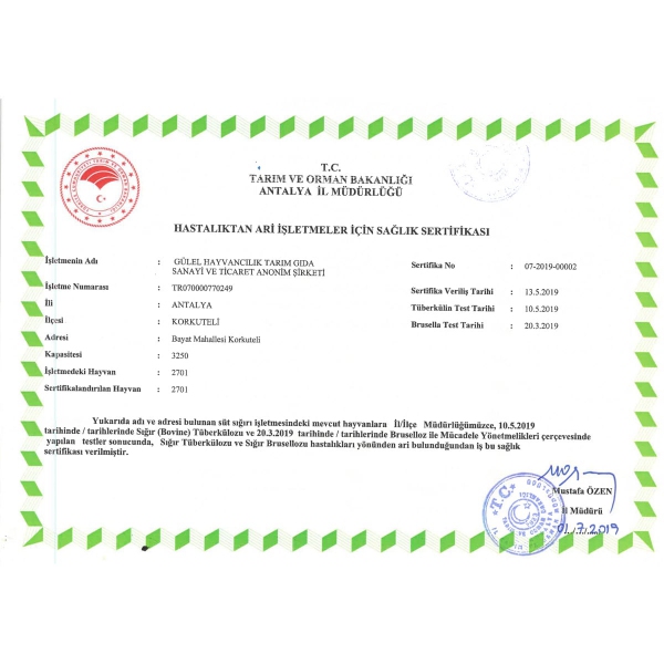 sertifika-4